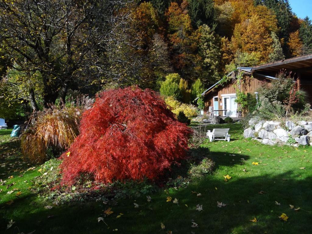 Gaestehaus Buehler Оберстдорф Номер фото